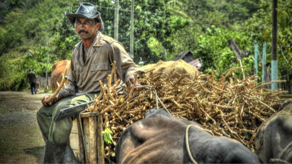 Un campesino cubano.