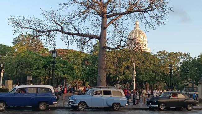 Vehículos en un parque de La Habana