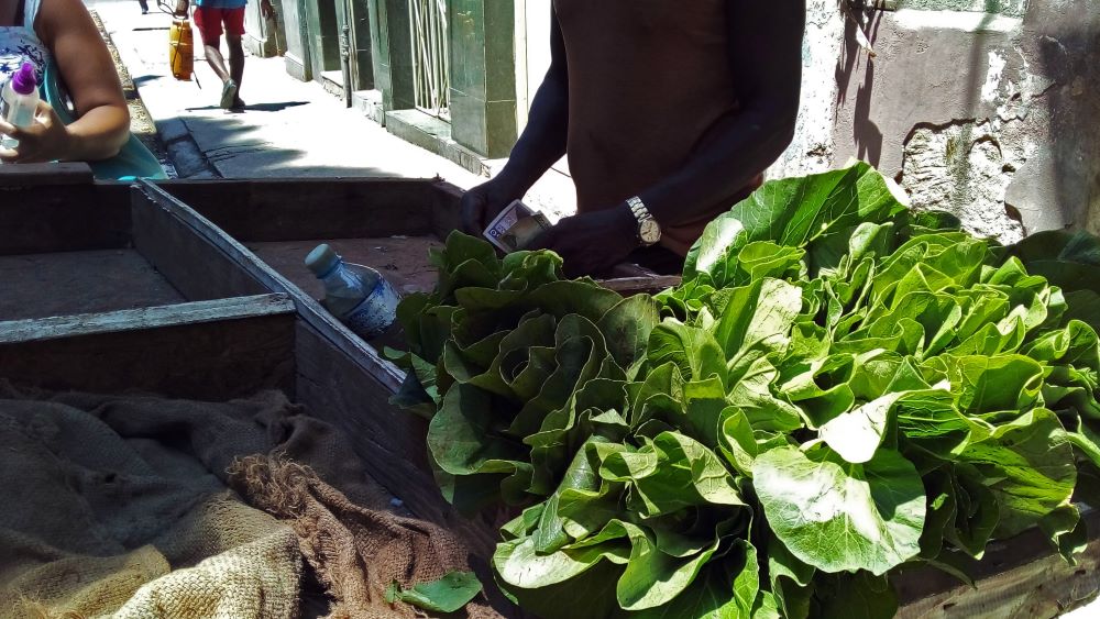 Un vendedor ambulante de productos del agro.