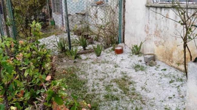 Granizos en un jardín de una vivienda en La Habana.