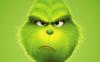 Profile picture for user Mr. Grinch