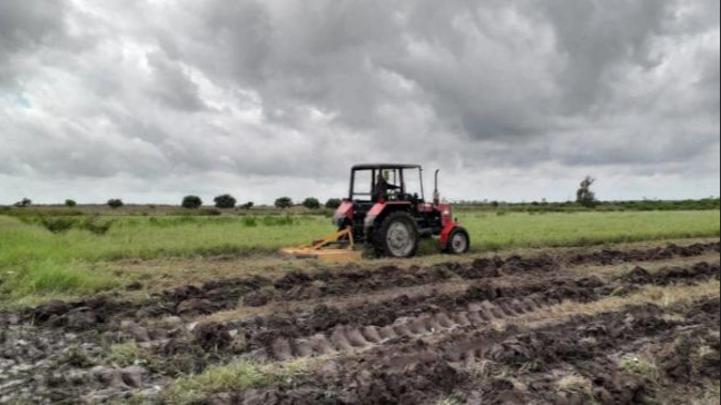 Labores agrícolas en Pinar del Río.