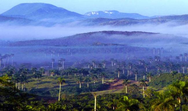 Valle del Yumurí, Cuba. 