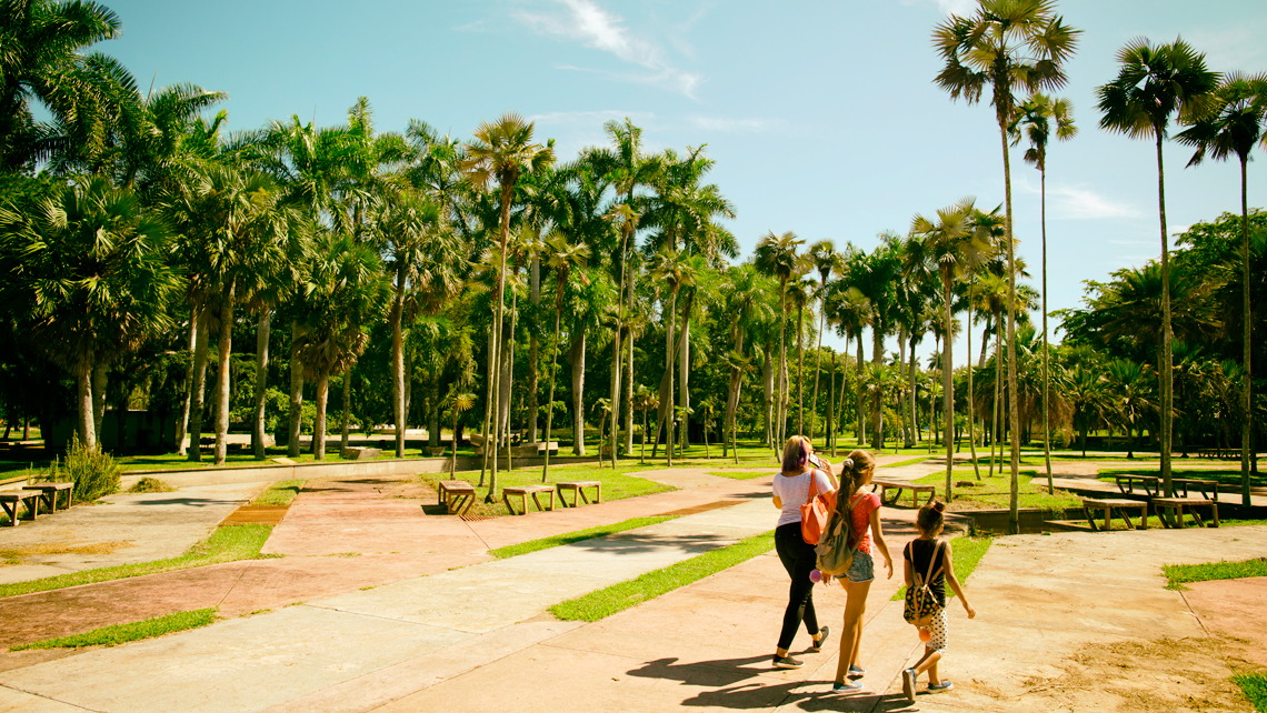 El actual Jardín Botánico Nacional, La Habana.